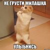 kote_34880169_orig_.jpg