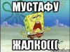 Мустафа мустафа мем девочка