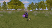 Shot00962.jpg