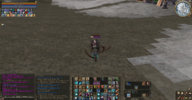 buffs.jpg