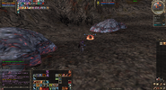 Lineage II Screenshot 2024.02.13 - 10.10.08.02.png