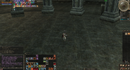 Lineage II Screenshot 2024.02.13 - 10.19.11.20.png