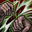 image077.png image077.png