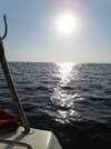 IMG_20240820_173423_080454.jpg