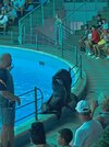 IMG_20240822_111116.jpg