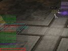 IMG_1387.jpeg