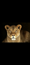 D34ED7D9-7091-4C26-BAB6-6002478ACDFD.png