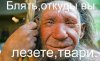 твари.jpg