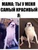 2497370C-1589-4462-B22F-A5BF5135D911.jpeg