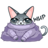 qBreeZe