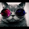 mrNoisiA