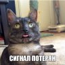 3GoucT9