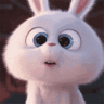 Rabid Rabbit