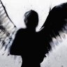 l4ernuyAngelOK