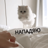 Toplesspwnz