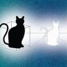 Schrodinger