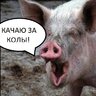 SashaBeton