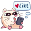 Sticker Vk Nutri 038 :sticker-vk-nutri-038: :sticker-vk-nutri-038: