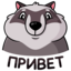:sticker-vk-pilfy-000: