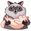 :sticker-vk-pilfy-041: